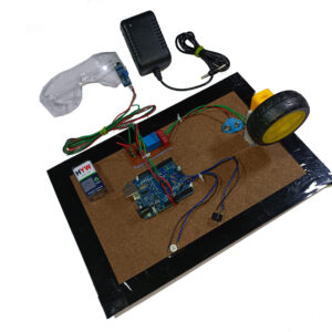 Driver safety system